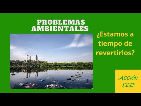 Video: Problemas ambientales de nuestro tiempo