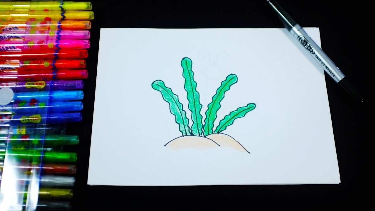 Cách Vẽ Rong Biển Đơn Giản Cho Trẻ Mầm Non/ How To Draw Seaweed ( Simple  For Kids) - Youtube