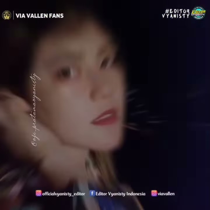 Story WA Via Vallen Terbaru #3