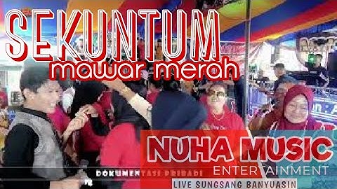 SEKUNTUM MAWAR MERAH || NUHA MUSIC || SUNGSANG_SIANG H1 DANGDUT || SHAPA WG