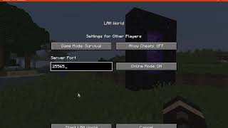 Open To Lan 1.16.1 & 1.16.2 Fabric Mod Overview