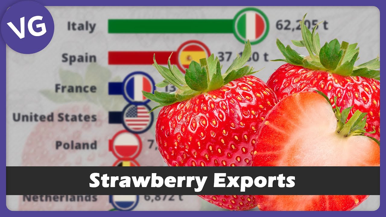 The Countries that Export the Most Strawberries in the World YouTube