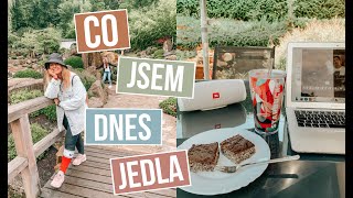 Co jsem dnes jedla #12 | RECEPT NA NEJLEPŠÍ MAKOVÝ ŘEZY!