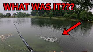 UNKNOWN POND MONSTER Breaks Me Off!! Rainstorm Bass Fishing in Orlando, Florida