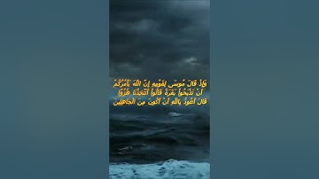 سورة البقرة اية 67 - مع صوت البحر بصوت جميل - وَإِذْ قَالَ مُوسَى لِقَوْمِهِ إِنَّ اللَّهَ