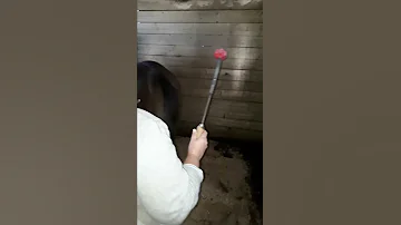 ТАВРО  Клеймо на лошади...