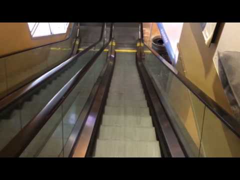 How to ride an escalator