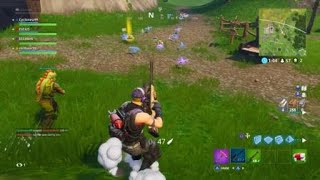 Collateral Damage Fortnight Double Headshot