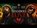 Damian Marley &amp; Snoop Dogg • DANGEROUS LOVE | This Reggae Song Will Hit Your Soul