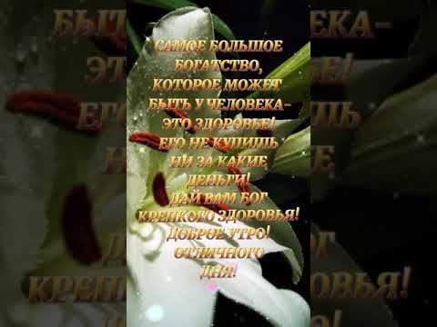 Доброе утро! Отличного дня!