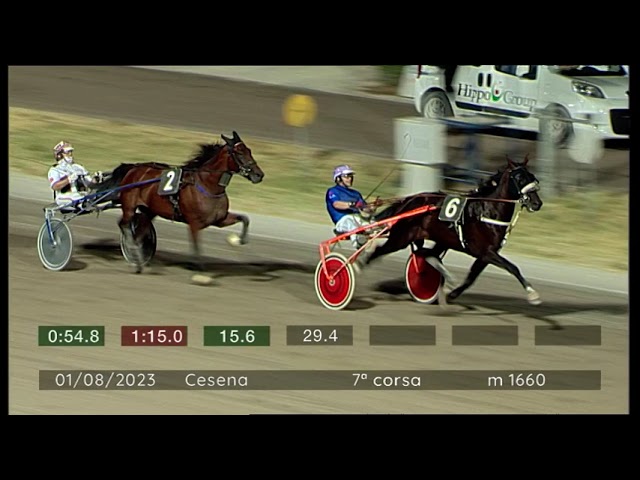 2023 08 01 | Corsa 7 | Metri 1660 | Premio Hippotram - Trofeo Croce Rossa Italiana