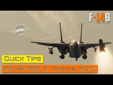DCS World - F-14 Tomcat - AIM-54 Quick Tips (RIO, 6 Targets, ACM)