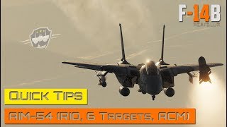 DCS World  F14 Tomcat  AIM54 Quick Tips (RIO, 6 Targets, ACM)