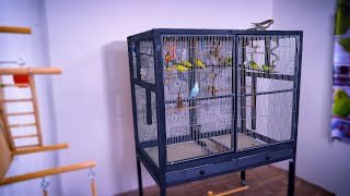 Build Bird Cage for Cheap | 3 simple Designs for DIY