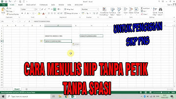 CARA MENULIS NIP PNS TANPA SPASI TANPA TANDA PETIK  UNTUK PENGISAIN SKP