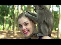 Types of Monkeys in the world | Discover the Amazing World of Primates