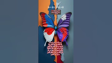 سورة القدر || ان انزلناه في ليلة القدر  #سورة_القدر  #قرآن #تلاوة #آية #قران_كريم