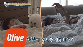 seoulmate [효림이네] '자꾸 이렇게 편집하지 마!' 서글픈 서솔로의 삶...★ 180714 EP.35