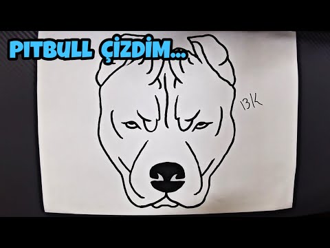 PİTBULL DRAWİNG / Basit Pitbull Çizimi / pitbull is drawing