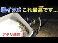 「ジグヘッド」と「塩イソメ」で強風の中釣りをしたら面白すぎた…