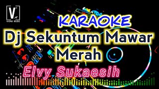 DJ SEKUNTUM MAWAR MERAH ( KARAOKE ) ELVY SUKAESIH REMIX KN7000