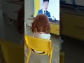 Look at these cute and funny puppies dogs 2955