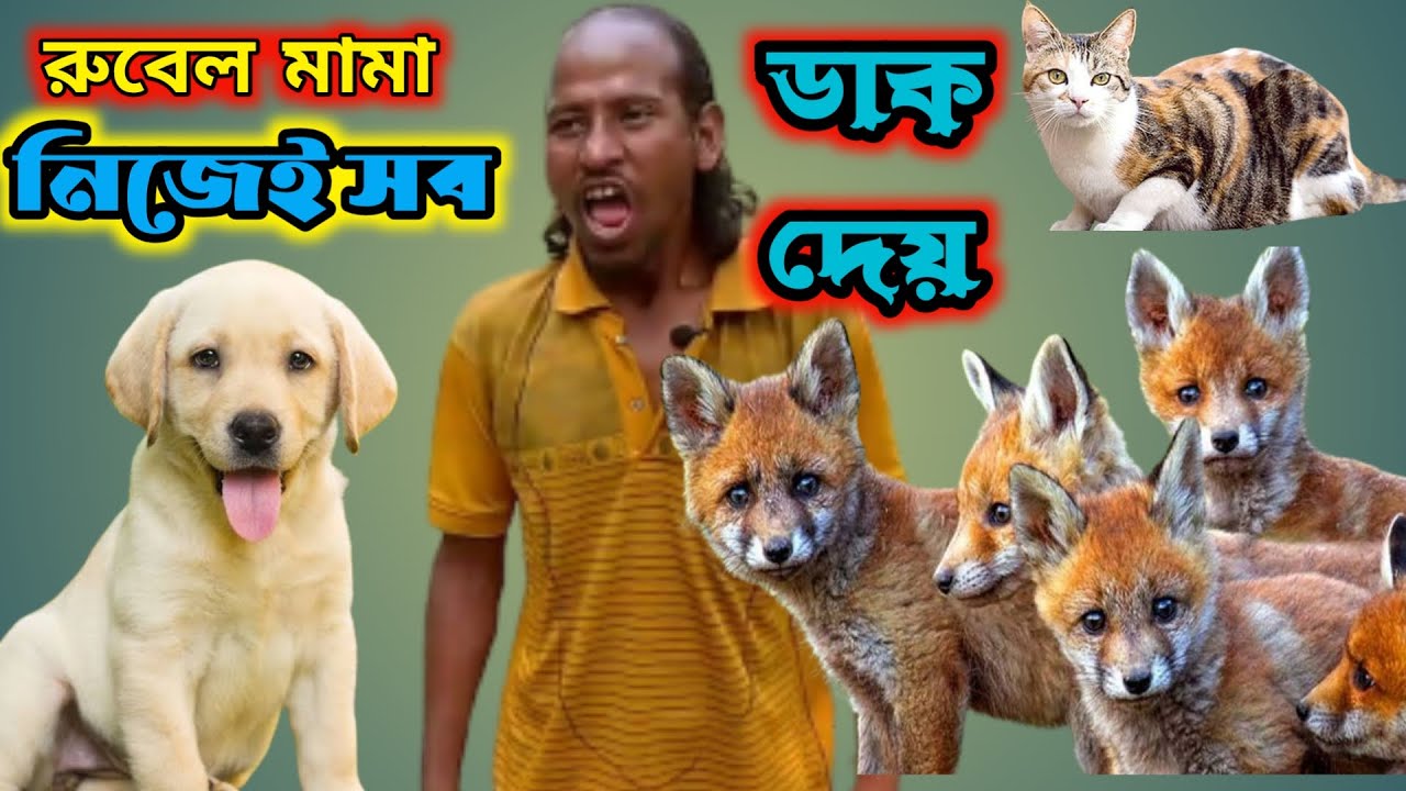 সবি নিজেই নায়ক রুবেল মামা - YouTube