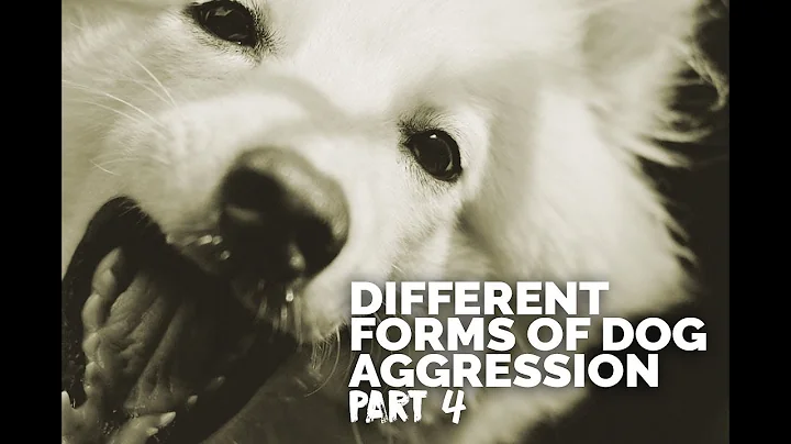Michael Ellis on the Different Forms of Dog Aggression - Part 4