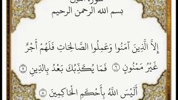 سورة التين الآيات من ٦-٨