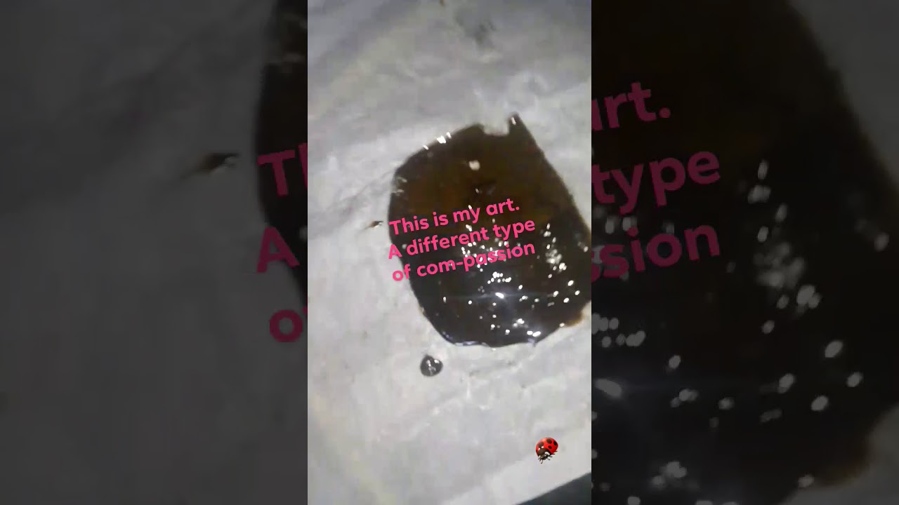 from kief to shatter