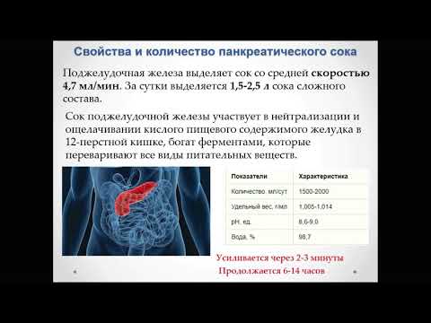 Видео: Что содержит панкреатический сок?