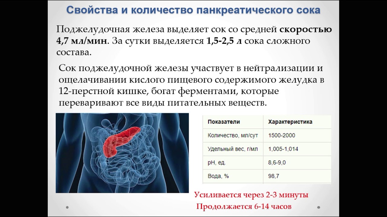 Активация ферментов поджелудочной железы. Протеолитическая активность желудочного сока.