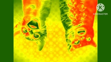 Preview 2 Numa Cat 3 | Effects 2