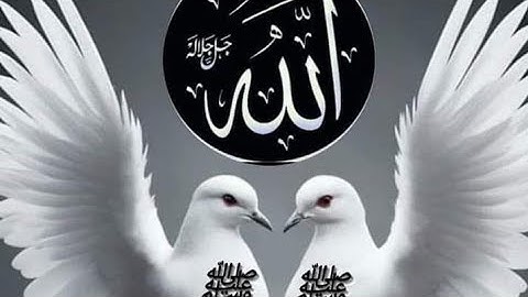 Syed Hassan Ullah Hussani || Main Banda e Aasi Hoon || Shab e Barat Special || Safa Islamic