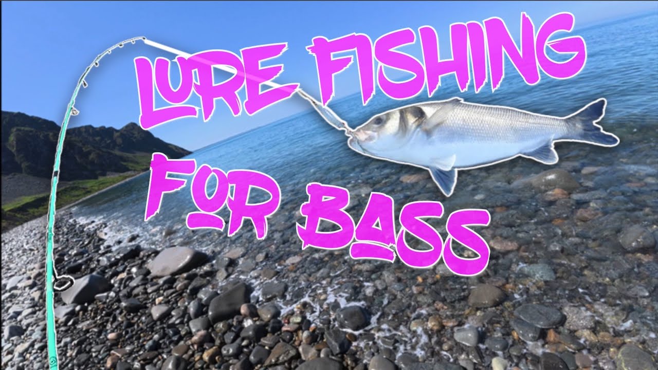 best bass fly lures for summer The Best Bass Flies