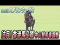 【スプリンターズS】香港馬ビクターザウィナー＆ムゲン調教＠中山競馬場