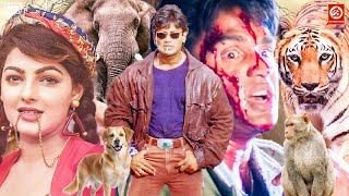 Download Lagu ममता कुलकर्णी \u0026 सुनील शेट्टी की बंदर, हाथी और कुत्ते वाली धमाकेदार ब्लॉकबस्टर एक्शन मूवी | गोविंदा MP3 Download Lagu ममता कुलकर्णी \u0026 सुनील शेट्टी की बंदर, हाथी और कुत्ते वाली धमाकेदार ब्लॉकबस्टर एक्शन मूवी | गोविंदा MP3