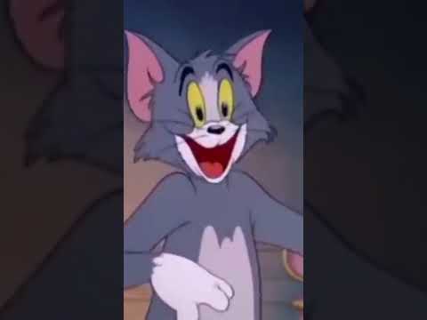 Wideo: Czy Tom i Jerry się kończą?