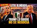 Trump QUIERE el litio de México: Sheinbaum lo PROTEGE con ley, ciencia y soberanía nacional