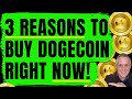 THREE REASONS TO BUY DOGECOIN RIGHT NOW! AN HONEST OPINION FOR YOU....