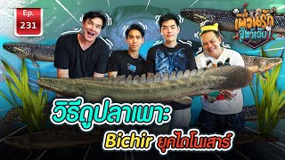 Bichir บิเชีย ปลาไบเคอร์ Monster fish ปลาแปลก / เพื่อนรักสัตว์เอ๊ย Ep.224
