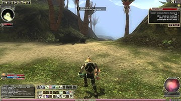 Dungeons and Dragons Online (DDO) Tutorial/Let