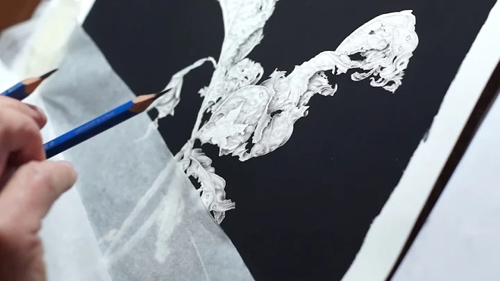 Sharon Field | Vignettes