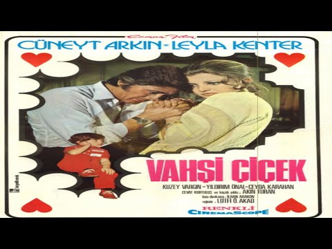 Vahşi Çiçek (1971) Cüneyt Arkın | Leyla Kenter | Kuzey Vargın | Orjinal 📼 Yeşilçam Sinema Fragmanı