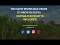 The Best Crops to Grow in Kenya (Estimated Profits Included)