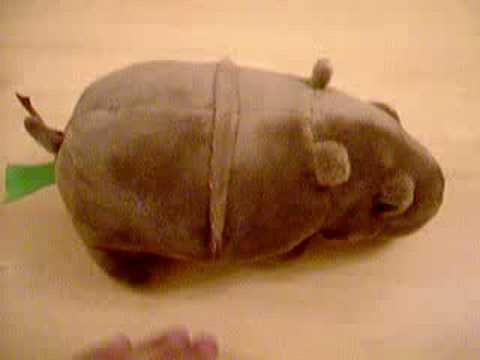 Cute Mini Bert Farting Hippo For Sale - Like Abbey...