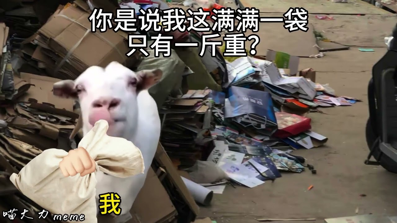 想象中的二十几岁vs现实中的自己#猫meme #真实还原 #抽象 #健身