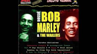 Bob Marley - Sun is Shinning - Circuito Reggae 3