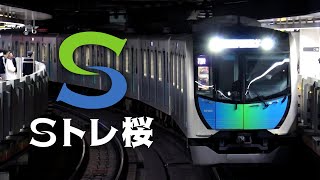 Sトレ桜【千本桜×S-TRAIN(Sトレイン)】