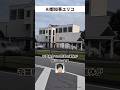 千葉県に都営バスを派遣【AI都知事ユリコ】#AI都知事ユリコ #東京都